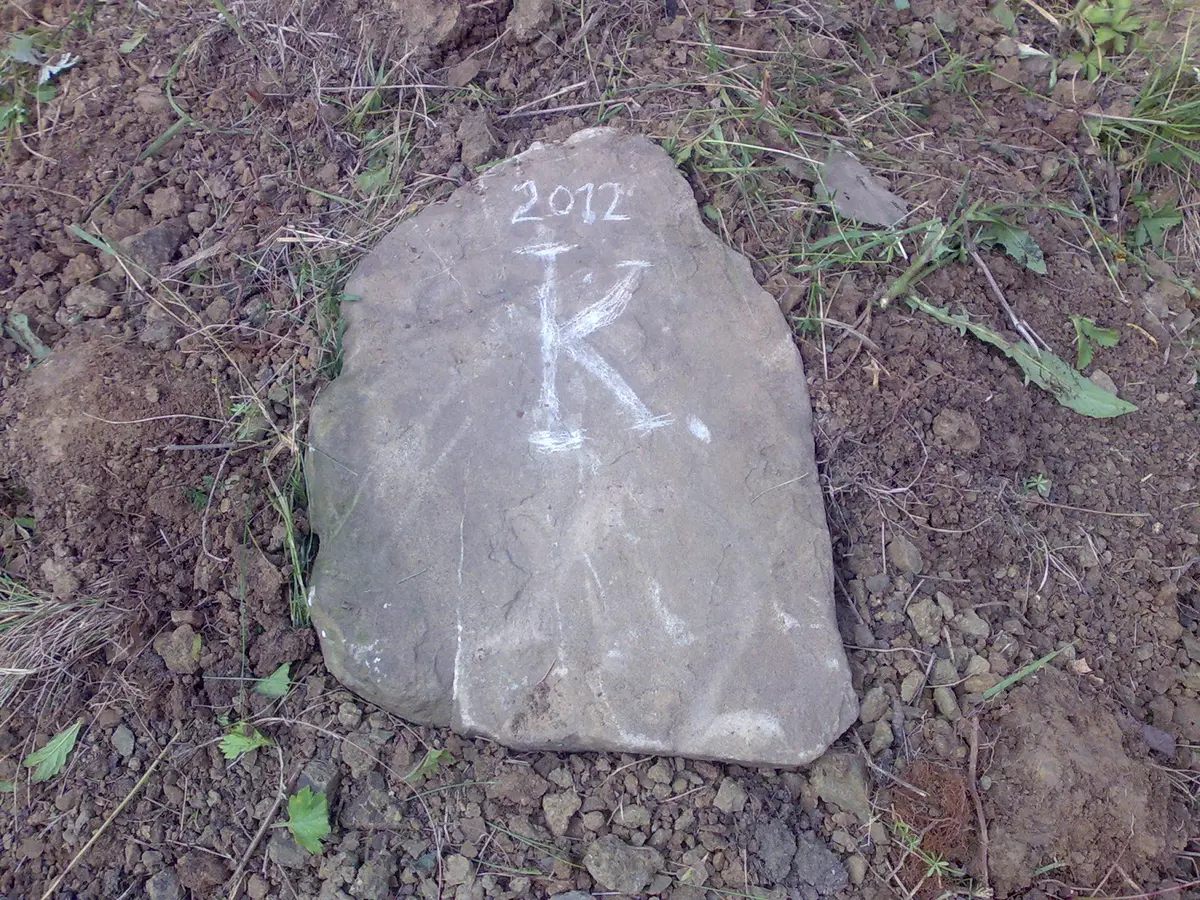 Ilustrace k článku